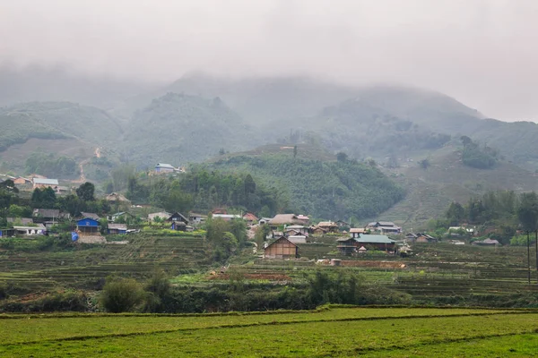 Vietnamca pirinç tarlaları güzel manzaralarını.