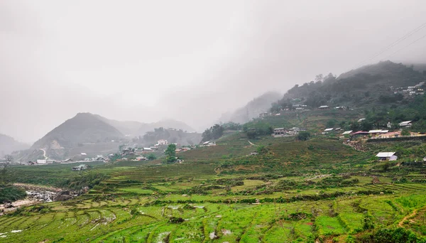 越南稻田美景 — 图库照片