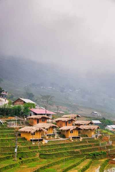 Prachtig Uitzicht Vietnamese Rijstvelden — Stockfoto