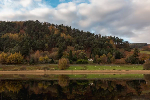 Wieczorem Reflection Góry Las — Zdjęcie stockowe