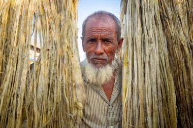 Rajrajeshor, Chandpur, Bangladeş 'te güneşte kurumak için ıslak jüt lifleriyle ayakta duran bir köy işçisi..