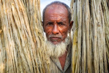 Rajrajeshor, Chandpur, Bangladeş 'te güneşte kurumak için ıslak jüt lifleriyle ayakta duran bir köy işçisi..