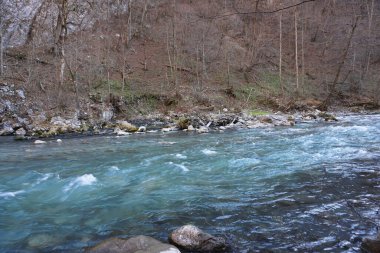 Hızlı dağ nehri Assa 'nın berrak mavi suyu ve yüksek dağ Assinsky vadisi, Ingushetia, Kuzey Kafkasya' daki kayaları manzarası.