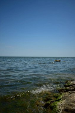 Hazar Denizi 'nin mavi dalgaları, mavi gökyüzü ve Kafkasya' nın dağlık Dağıstan bölgesinde deniz yosunlarıyla kaplı kıyı kayalıkları manzarası   