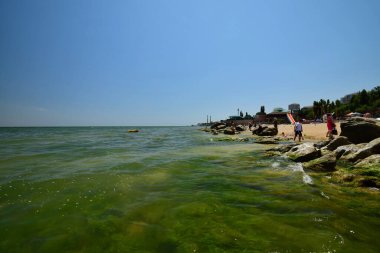 Tatilcilerle dolu Hazar Denizi plajı ve yazın Kafkasya 'daki Makhachkala şehrinde yıkanan insanlar.