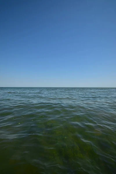 コーカサスの山岳ダゲスタン地方の海藻と青い波を持つカスピ海 — ストック写真
