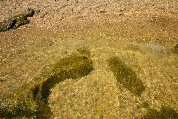 コーカサスの山ダゲスタン地域の澄んだ水 石を持つカスピ海沿岸の潮 — ストック写真