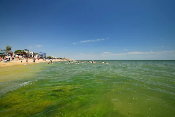 Hazar Denizi 'nin yaz plajında insanlar yaz aylarında dinleniyor ve banyo yapıyor. Dağıstan' ın Makhachkala şehrinde Kafkasya 'da binalar var.                               
