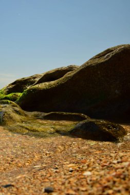 Hazar Denizi 'nin yosunlu kayalıkları, mavi gökyüzü ve Kafkasya eteklerinde deniz kabukları olan kıyıları.                               
