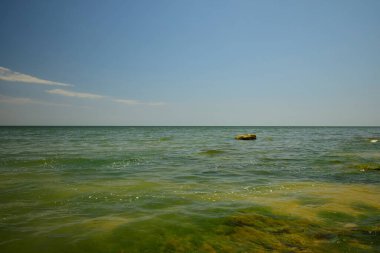 Hazar Denizi sabahı mavi gökyüzü ile Panorama, deniz dalgaları ile su ve Kafkasya 'da gelgitli bir sahil                               