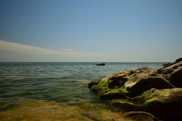 Hazar Denizi Panoraması 'nda deniz taşları, deniz yosunu, mavi gökyüzü ve Kafkasya eteklerinde plaj                              