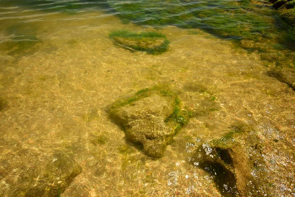コーカサス山脈の麓にある澄んだ水と貝殻や石のある底のカスピ海の潮 — ストック写真