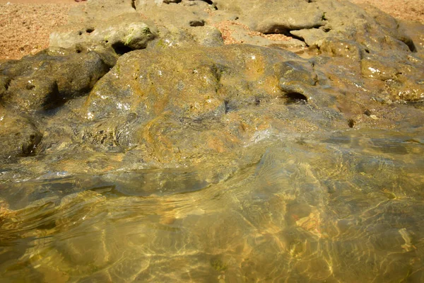 コーカサスの澄んだ水とカスピ海沿岸の岩の上の夏の潮 — ストック写真