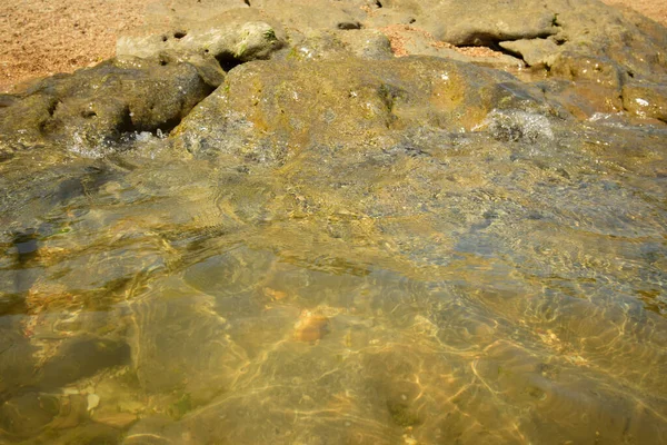 カスピ海沿岸の石の上に潮を吹き 澄んだ水でコーカサスへ — ストック写真
