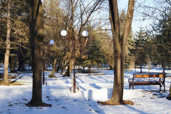 Vista General Los Árboles Una Linterna Banco Parque Invierno Con — Foto de Stock