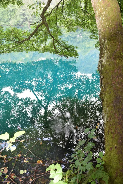 Widok Błękitną Wodę Brzegu Jeziora Krasowego Latem Wąwozie Cherek Balkarian — Zdjęcie stockowe