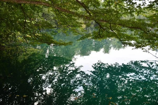  Yazın Kafkasya Dağları 'ndaki Cherek-Balkarian Geçidi' nde yeşil ağaçlı karst gölü manzarası                              