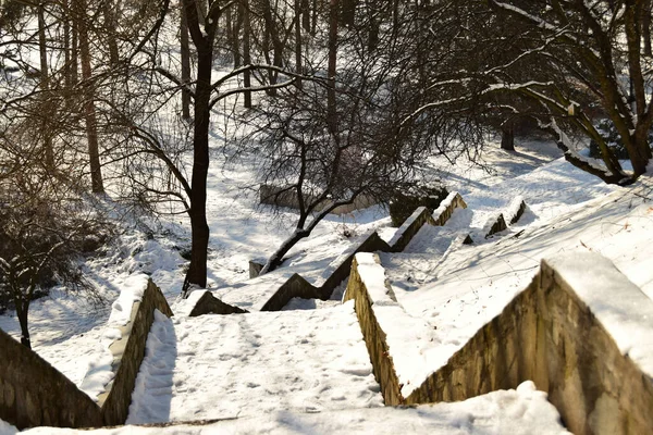 View Winter Staircase Trees Snow January Foothill Park Caucasus — Stock Photo, Image