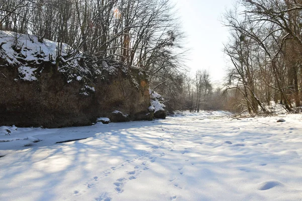 Rivière Gelée Avec Arbres Janvier Dans Parc Des Contreforts Caucase — Photo