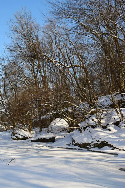 Вид Замерзшую Реку Деревьями Январе Предгорном Парке Кавказа — стоковое фото