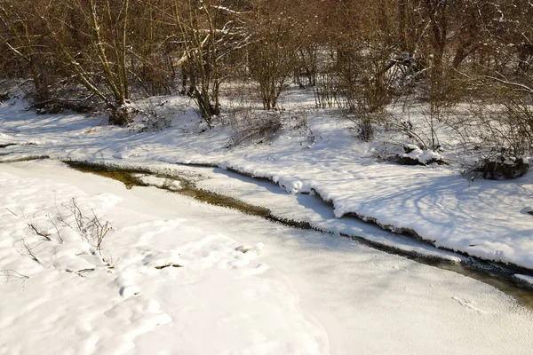 Rivière Gelée Avec Glace Arbres Avec Neige Janvier Dans Parc — Photo