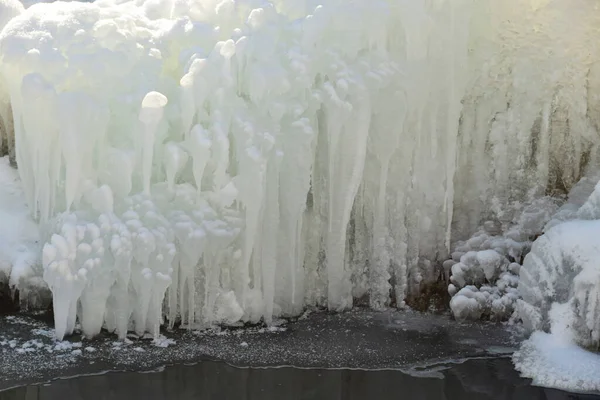 Icy Icicles Hanging Foothill Park Winter January — Stock Photo, Image