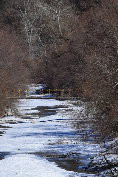 Vue Rivière Des Contreforts Hiver Entre Neige Blanche Eau Courante — Photo