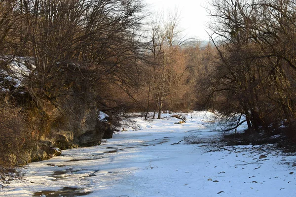 Blick Auf Einen Winterfluss Mit Bäumen Und Schnee Auf Ästen — Stockfoto