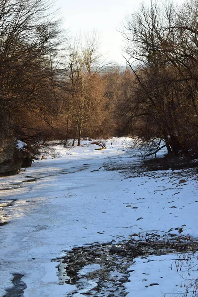 Blick Auf Einen Winterfluss Mit Schneebedeckten Bäumen Abend Bei Sonnenuntergang — Stockfoto