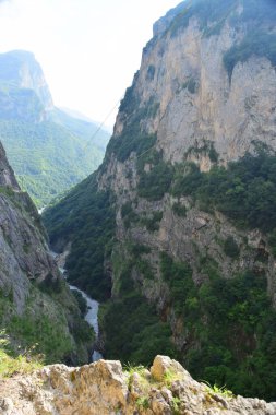 Kafkasya Dağları 'nda bitkilerle dolu bir dağ geçidi ve dağ nehri manzarası                               