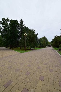 Rusya 'nın Kabardino-Balkaria cumhuriyeti Nalchik' in sonbahar parkının bir feneri ve ağaçlı iki sokak manzarası                               