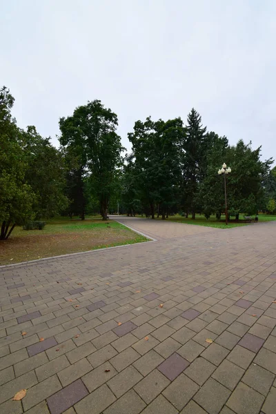 Blick Auf Die Allee Mit Bäumen Gras Fliesen Und Straßenlaternen — Stockfoto