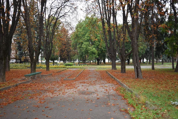 Vista Outono Sobre Estrada Árvores Parque Cidade Cidade Nalchik República — Fotografia de Stock