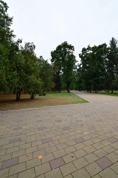 Vidsträckt Utsikt Över Allén Med Träd Gräs Kakel Stadens Höstpark — Stockfoto