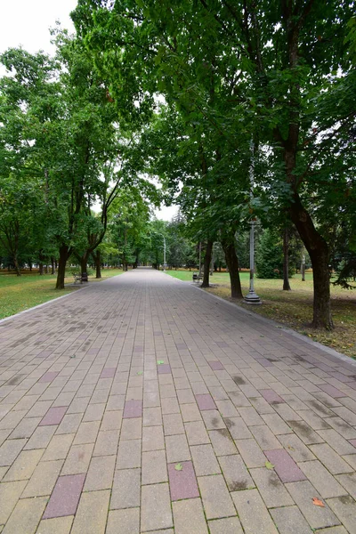 Weite Sicht Auf Den Gehweg Mit Bäumen Und Laterne Herbstpark — Stockfoto