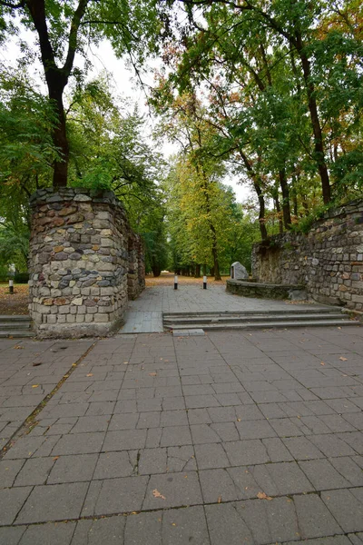 Ein Weiter Blick Herbst Auf Den Steinernen Eingang Den Park — Stockfoto
