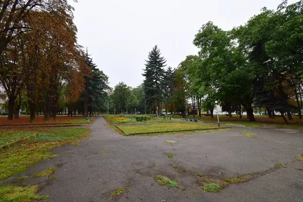 Широкий Вид Восени Дорогу Дерева Міському Парку Міста Нальчик Кабардино — стокове фото