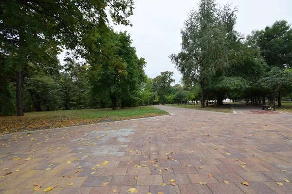 Blick Auf Die Allee Des Städtischen Herbstparks Der Stadt Naltschik — Stockfoto