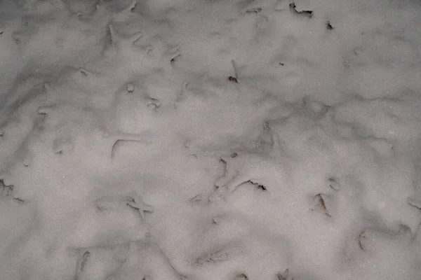 Glade Met Gevallen Bladeren Volledig Bedekt Met Witte Sneeuw Het — Stockfoto