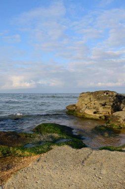  Doğu Kafkasya kıyısında kumlu bir sahil ve mavi gökyüzü olan Hazar Denizi kıyısı manzarası