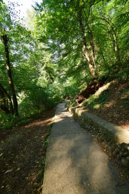  Kuzey Kafkasya 'nın eteklerindeki Kizilovka Dağı' nda yazın ağaçlar arasında aktif dinlenme yolu                              