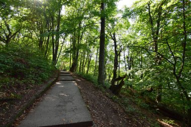  Ağaçların manzarası ve Kuzey Kafkasya 'nın eteklerindeki Kizilovka Dağı' nda bir yaz geçidi.                              