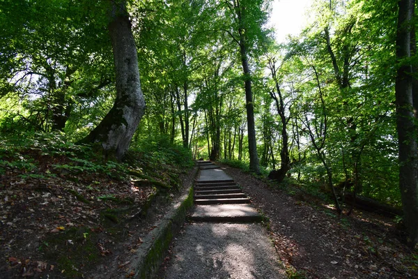Прогулочная Лестница Летом Среди Деревьев Горном Районе Горы Кизиловка Подножия — стоковое фото