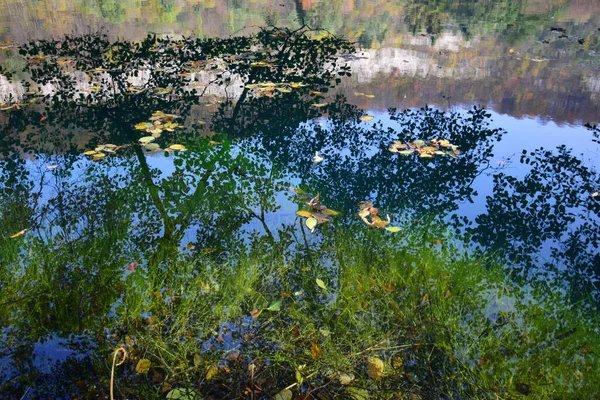 北白洲の山の中で海岸樹の反射とカルスト青い湖の眺め — ストック写真