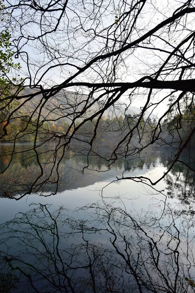 Άποψη Της Γαλάζιας Λίμνης Κλαδιά Φθινοπωρινών Δέντρων Στο Φαράγγι Του — Φωτογραφία Αρχείου