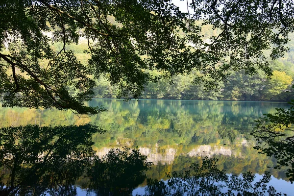 Άποψη Των Κρεμασμένων Κλαδιών Των Δέντρων Μια Γαλάζια Λίμνη Αντανάκλαση — Φωτογραφία Αρχείου