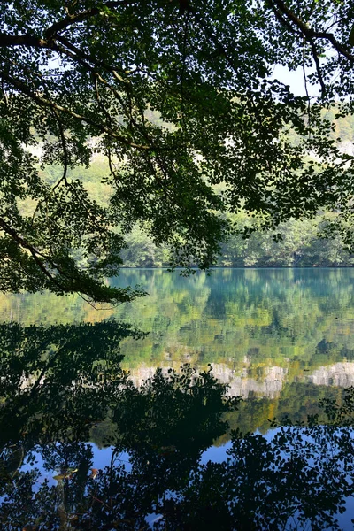 Blick Auf Äste Einem Blauen See Mit Spiegelung Über Blauem — Stockfoto