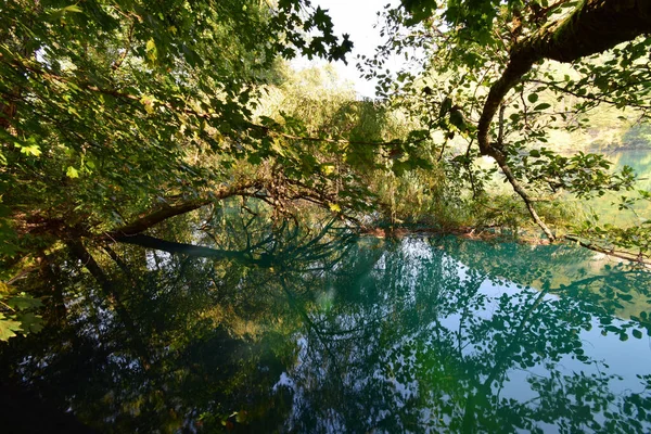 Panorama Lago Azul Cárstico Com Reflexo Galhos Árvores Nas Montanhas — Fotografia de Stock