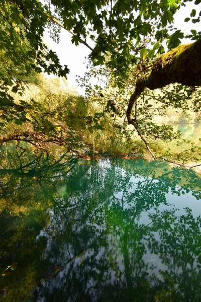 Panorama Krasového Modrého Jezera Odrazem Zelených Větví Stromů Horách Severního — Stock fotografie