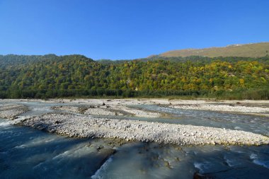 Kuzey Kafkasya 'nın dağlarında Cherek Vadisi' nde taşlı, sulu ve vahşi ormanlı bir dağ nehri manzarası.